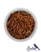 TENÉBRIO COMUM DESIDRATADO - 100 g