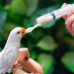 Seringa para Alimentação com Colher de Silicone - 20ml