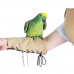 Protetor de Braço Ajustável - Aves Exóticas - Tamanho Único