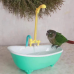 Banheira Para Pássaros Elétrica com Ducha Confortável
